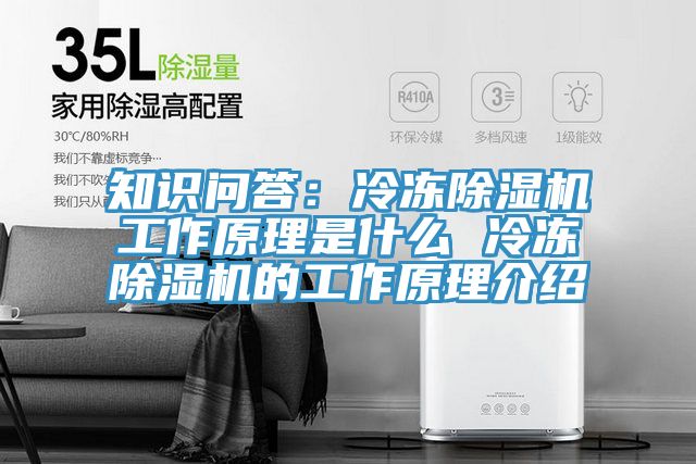 知识问答：冷冻泡芙短视频APP官方下载地址工作原理是什么 冷冻泡芙短视频APP官方下载地址的工作原理介绍