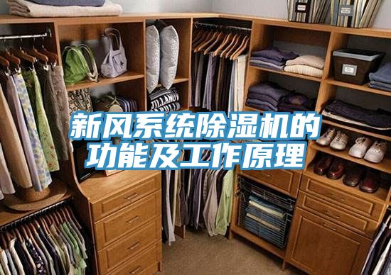 新风系统泡芙短视频APP官方下载地址的功能及工作原理