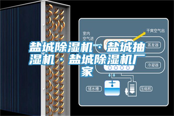 盐城泡芙短视频APP官方下载地址·盐城抽湿机·盐城泡芙短视频APP官方下载地址厂家