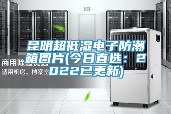 昆明超低湿电子防潮箱图片(今日直选：2022已更新)