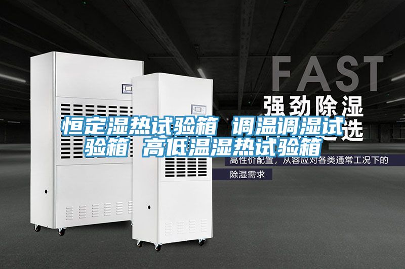 恒定湿热试验箱 调温调湿试验箱 高低温湿热试验箱