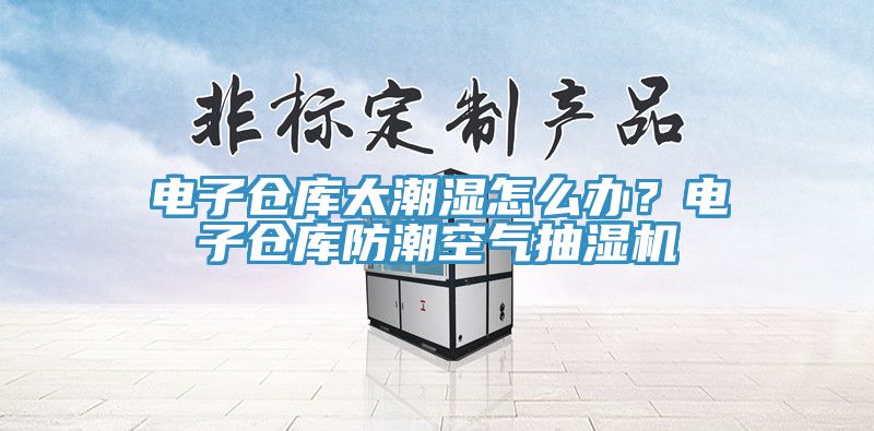 电子仓库太潮湿怎么办？电子仓库防潮空气抽湿机