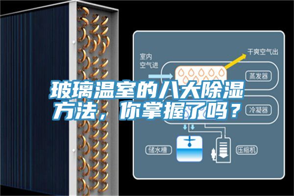 玻璃温室的八大除湿方法，你掌握了吗？