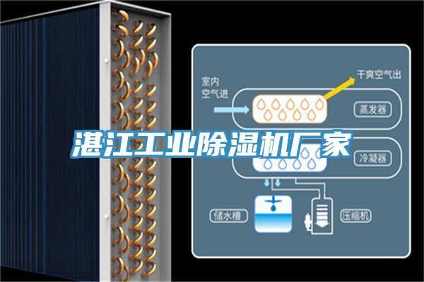 湛江工业泡芙短视频APP官方下载地址厂家