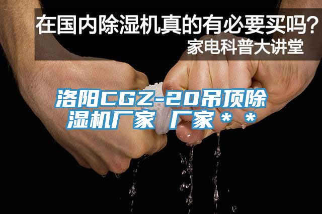 洛阳CGZ-20吊顶泡芙短视频APP官方下载地址厂家 厂家＊＊