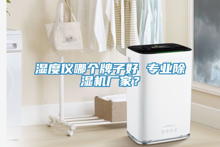 湿度仪哪个牌子好 专业泡芙短视频APP官方下载地址厂家？