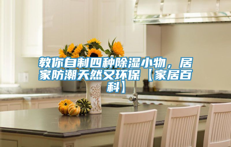 教你自制四种除湿小物,居家防潮天然又环保【家居百科】
