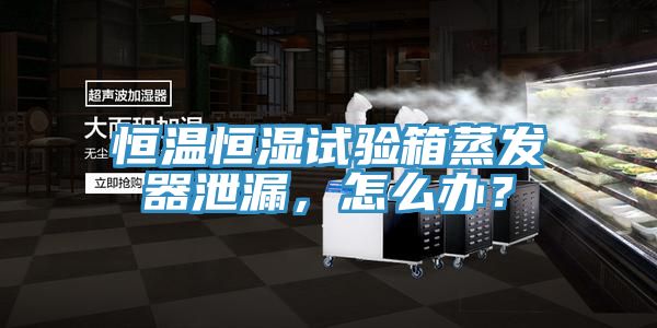 恒温恒湿试验箱蒸发器泄漏，怎么办？