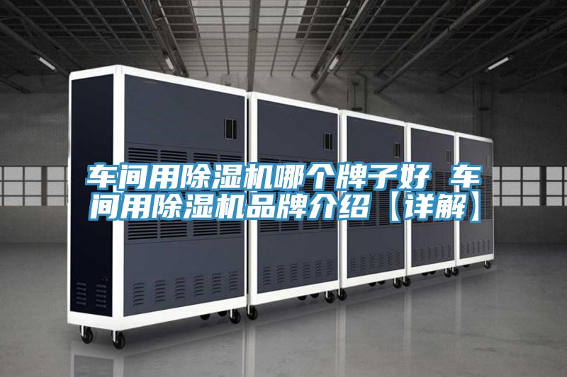 车间用泡芙短视频APP官方下载地址哪个牌子好 车间用泡芙短视频APP官方下载地址品牌介绍【详解】