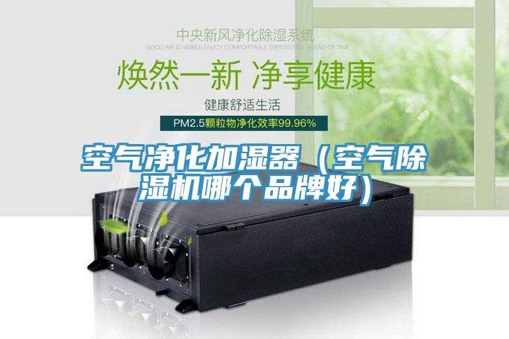 空气净化加湿器（空气泡芙短视频APP官方下载地址哪个品牌好）