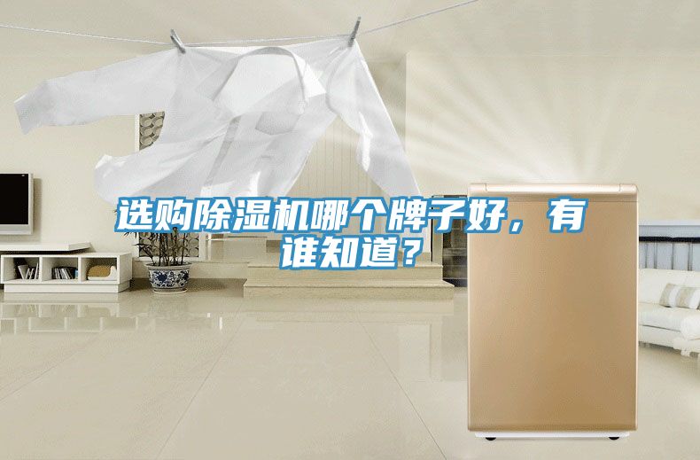 选购泡芙短视频APP官方下载地址哪个牌子好，有谁知道？