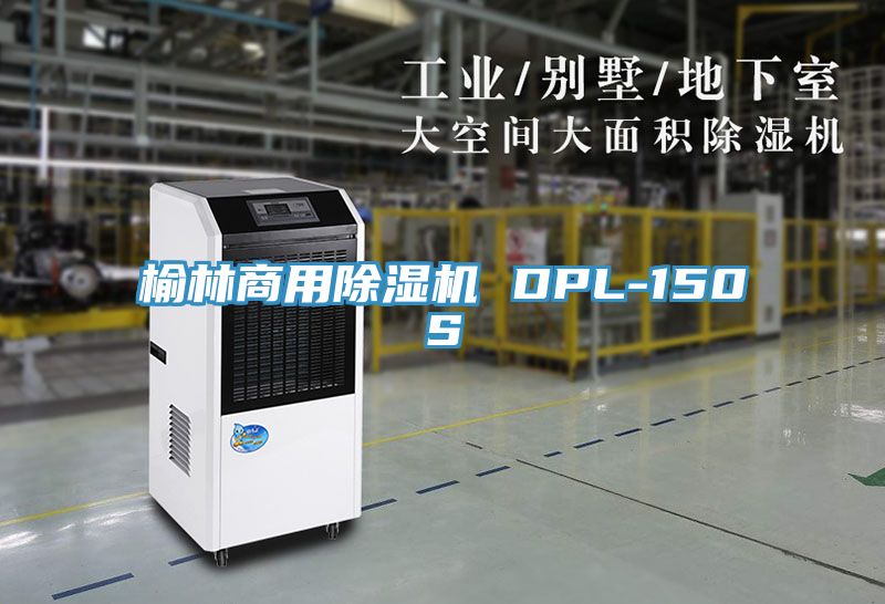 榆林商用泡芙短视频APP官方下载地址 DPL-150S
