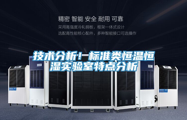 技术分析！标准类恒温恒湿实验室特点分析