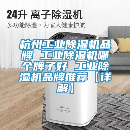 杭州工业泡芙短视频APP官方下载地址品牌 工业泡芙短视频APP官方下载地址哪个牌子好 工业泡芙短视频APP官方下载地址品牌推荐【详解】