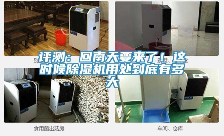 评测：回南天要来了！这时候泡芙短视频APP官方下载地址用处到底有多大