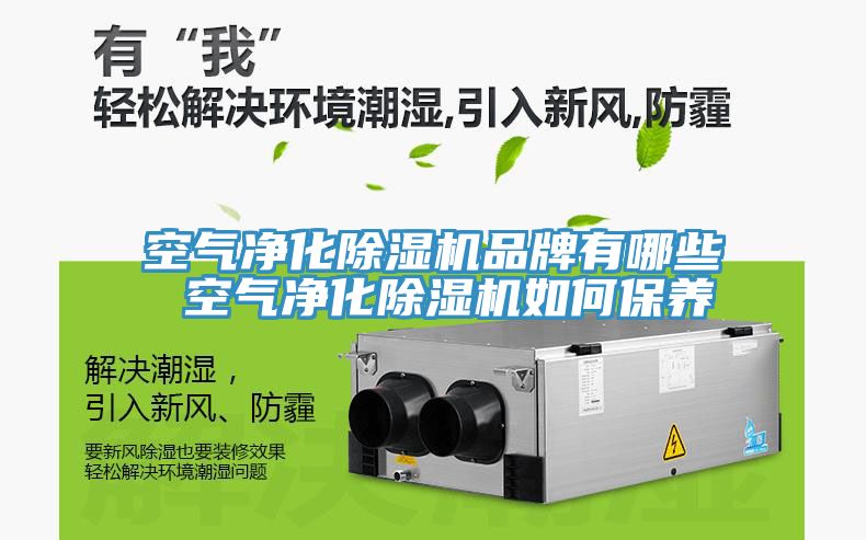 空气净化泡芙短视频APP官方下载地址品牌有哪些 空气净化泡芙短视频APP官方下载地址如何保养