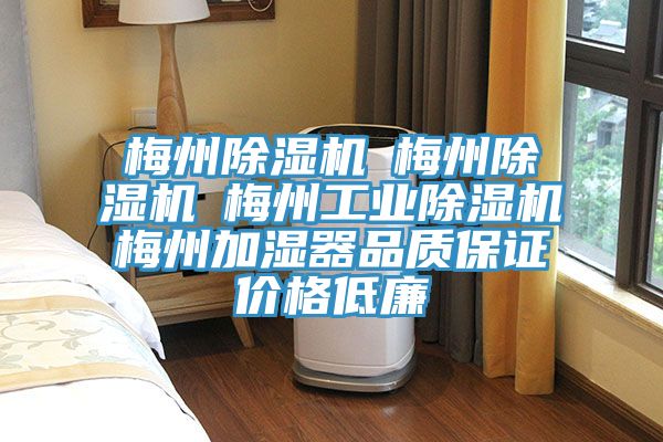 梅州泡芙短视频APP官方下载地址☆梅州泡芙短视频APP官方下载地址☆梅州工业泡芙短视频APP官方下载地址☆梅州加湿器品质保证价格低廉