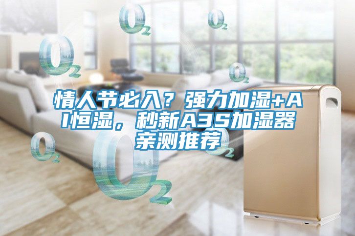 情人节必入？强力加湿+AI恒湿，秒新A3S加湿器亲测推荐