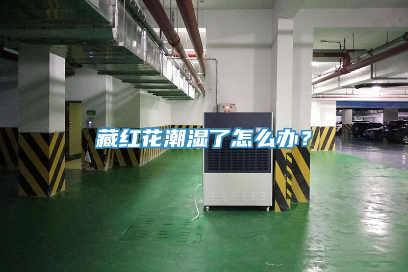 藏红花潮湿了怎么办？