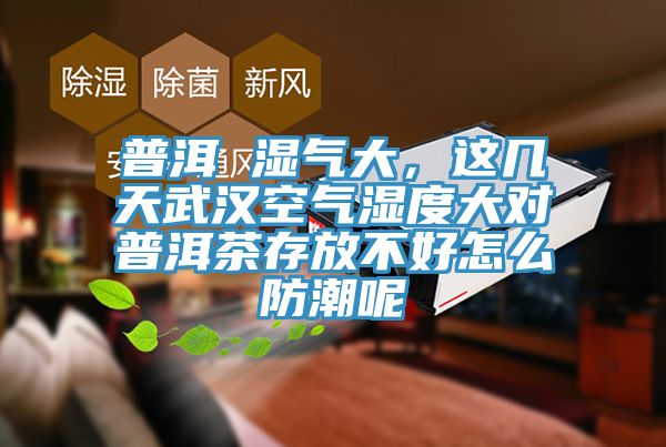 普洱 湿气大，这几天武汉空气湿度大对普洱茶存放不好怎么防潮呢