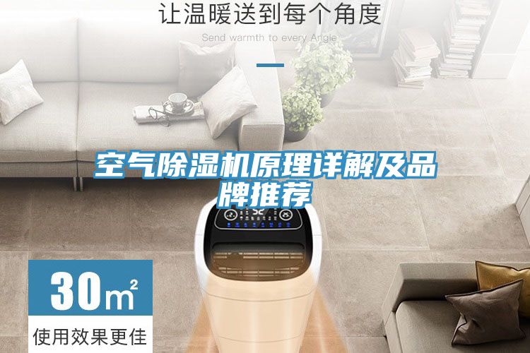 空气泡芙短视频APP官方下载地址原理详解及品牌推荐