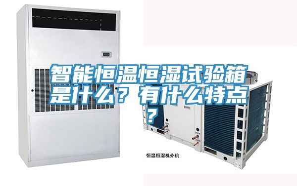智能恒温恒湿试验箱是什么？有什么特点？
