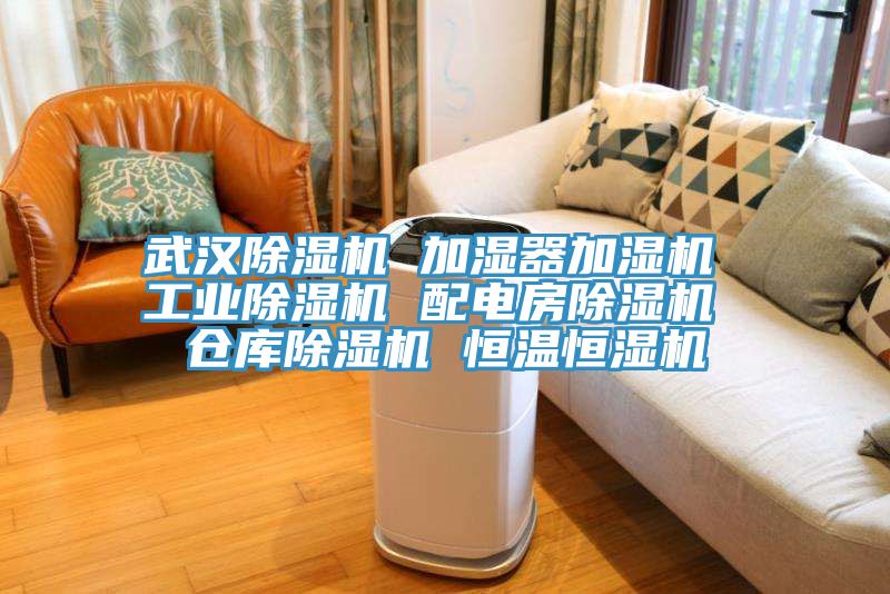 武汉泡芙短视频APP官方下载地址 加湿器加湿机 工业泡芙短视频APP官方下载地址 配电房泡芙短视频APP官方下载地址 仓库泡芙短视频APP官方下载地址 恒温恒湿机