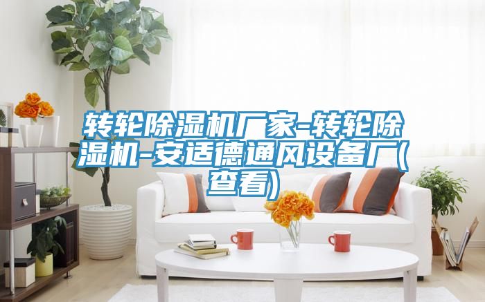 转轮泡芙短视频APP官方下载地址厂家-转轮泡芙短视频APP官方下载地址-安适德通风设备厂(查看)