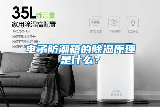 电子防潮箱的除湿原理是什么？