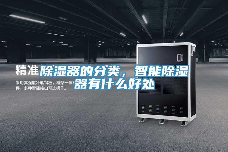 除湿器的分类，智能除湿器有什么好处
