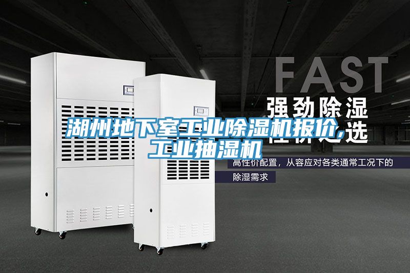 湖州地下室工业泡芙短视频APP官方下载地址报价,工业抽湿机