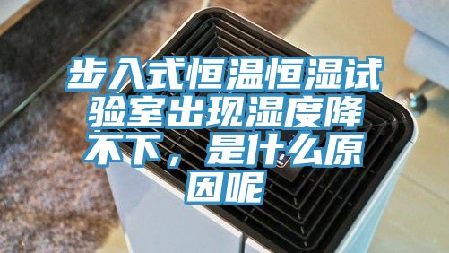 步入式恒温恒湿试验室出现湿度降不下，是什么原因呢