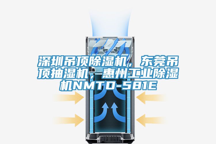 深圳吊顶泡芙短视频APP官方下载地址，东莞吊顶抽湿机，惠州工业泡芙短视频APP官方下载地址NMTD-581E