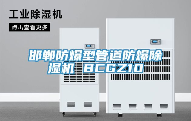 邯郸防爆型管道防爆泡芙短视频APP官方下载地址 BCGZ10