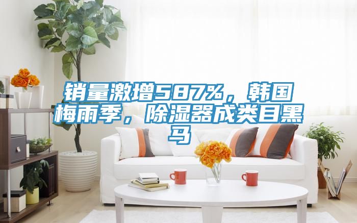 销量激增587%，韩国梅雨季，除湿器成类目黑马