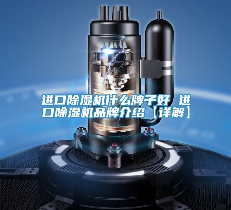 进口泡芙短视频APP官方下载地址什么牌子好 进口泡芙短视频APP官方下载地址品牌介绍【详解】