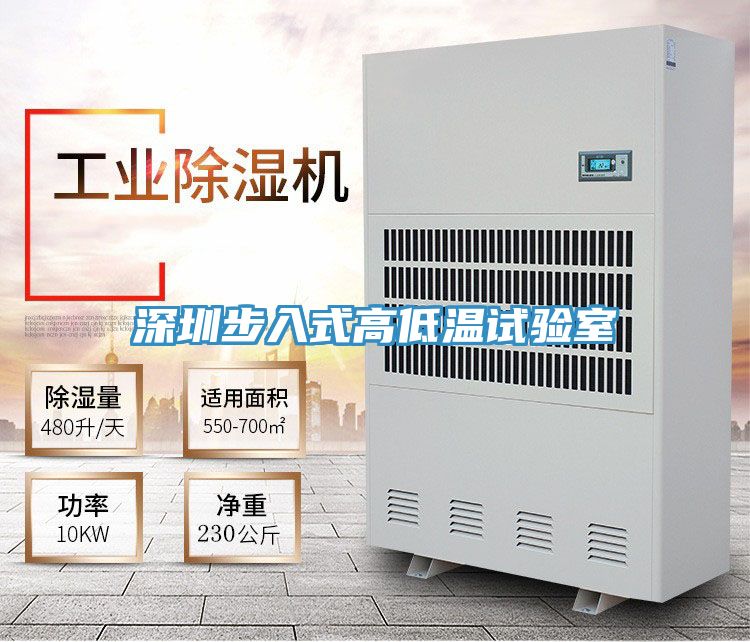 深圳步入式高低温试验室