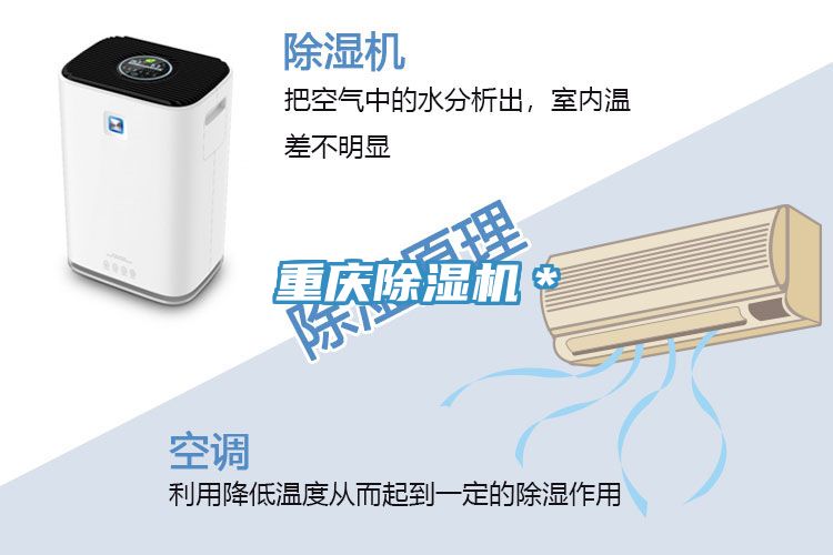 重庆泡芙短视频APP官方下载地址＊