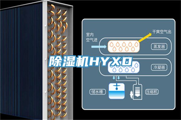 泡芙短视频APP官方下载地址HYXD