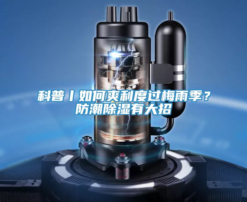 科普丨如何爽利度过梅雨季？防潮除湿有大招