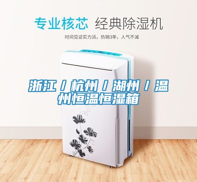 浙江/杭州/湖州/温州恒温恒湿箱