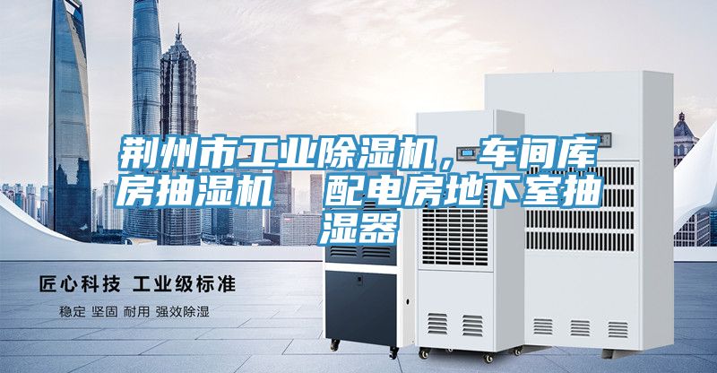 荆州市工业泡芙短视频APP官方下载地址，车间库房抽湿机  配电房地下室抽湿器