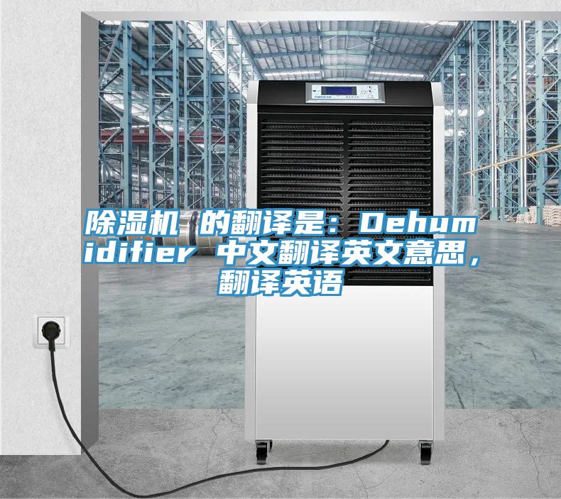 泡芙短视频APP官方下载地址 的翻译是：Dehumidifier 中文翻译英文意思，翻译英语
