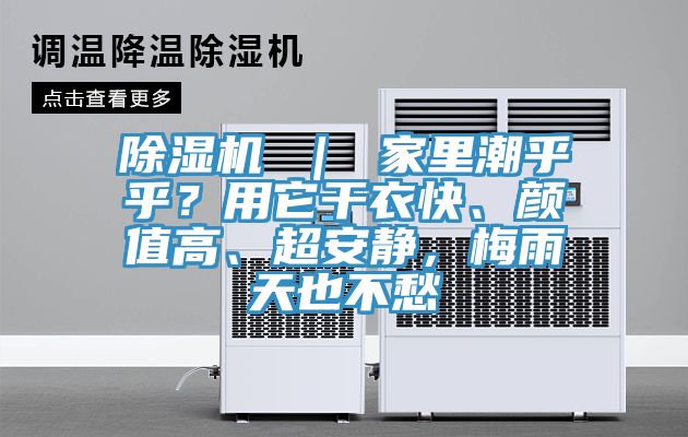 泡芙短视频APP官方下载地址 ｜ 家里潮乎乎？用它干衣快、颜值高、超安静，梅雨天也不愁