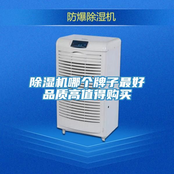 泡芙短视频APP官方下载地址哪个牌子最好品质高值得购买