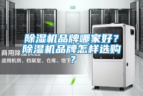 泡芙短视频APP官方下载地址品牌哪家好？泡芙短视频APP官方下载地址品牌怎样选购？