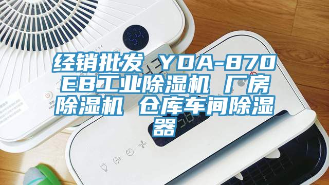 经销批发 YDA-870EB工业泡芙短视频APP官方下载地址 厂房泡芙短视频APP官方下载地址 仓库车间除湿器