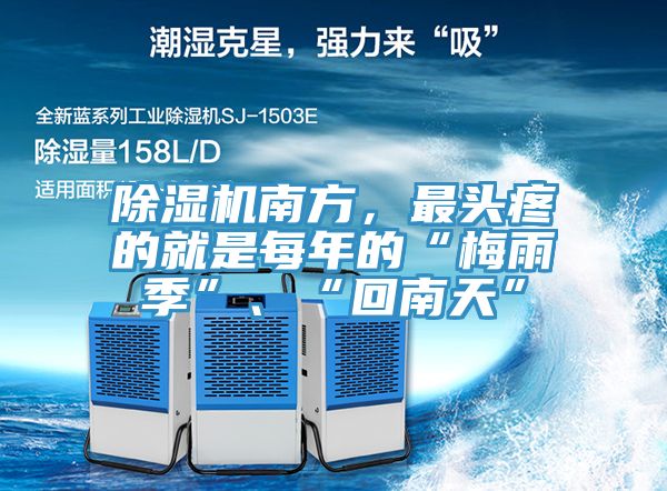 泡芙短视频APP官方下载地址南方，最头疼的就是每年的“梅雨季”、“回南天”