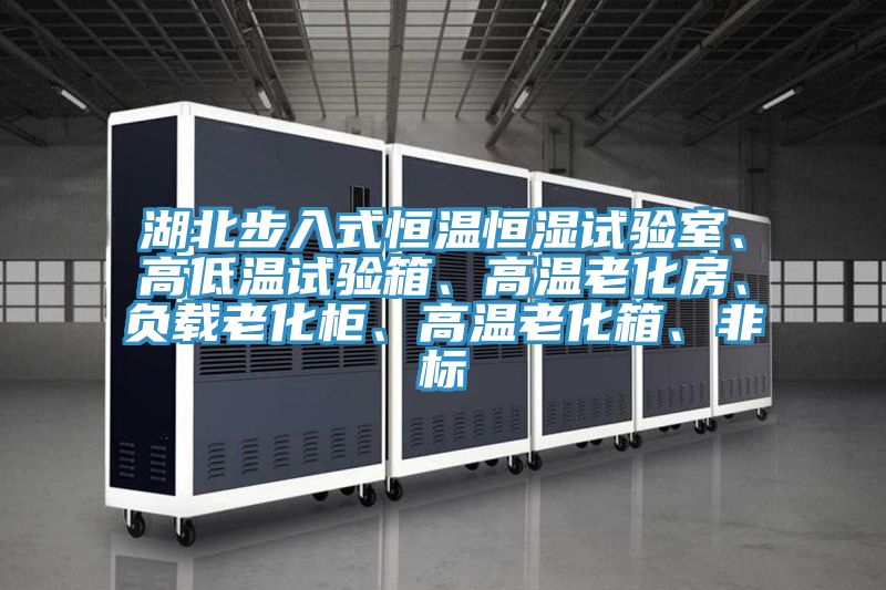 湖北步入式恒温恒湿试验室、高低温试验箱、高温老化房、负载老化柜、高温老化箱、非标