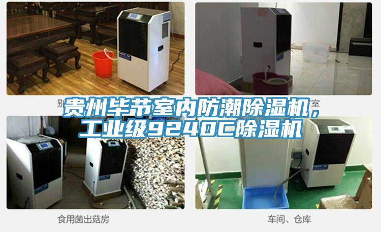 贵州毕节室内防潮泡芙短视频APP官方下载地址，工业级9240C泡芙短视频APP官方下载地址